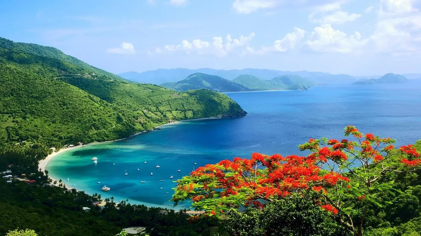高精度电子高性能